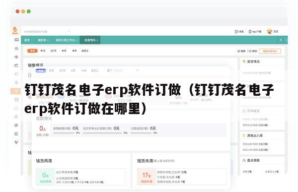 钉钉茂名电子erp软件订做（钉钉茂名电子erp软件订做在哪里）