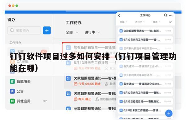 钉钉软件项目过多如何安排（钉钉项目管理功能在哪）