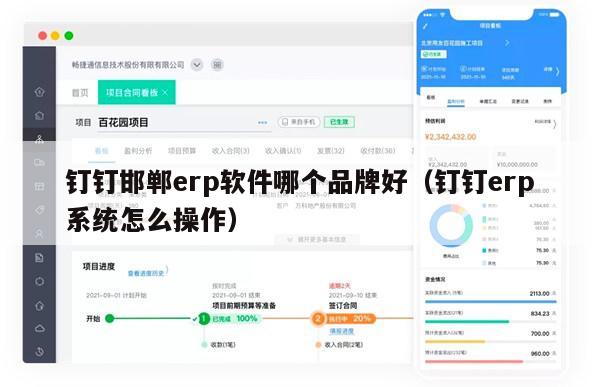 钉钉邯郸erp软件哪个品牌好（钉钉erp系统怎么操作）