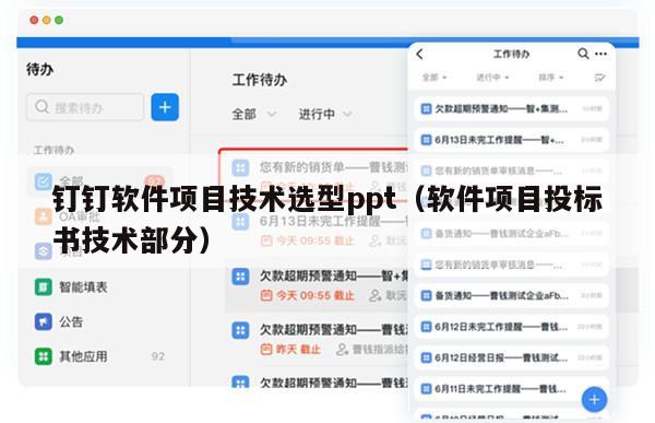 钉钉软件项目技术选型ppt（软件项目投标书技术部分）