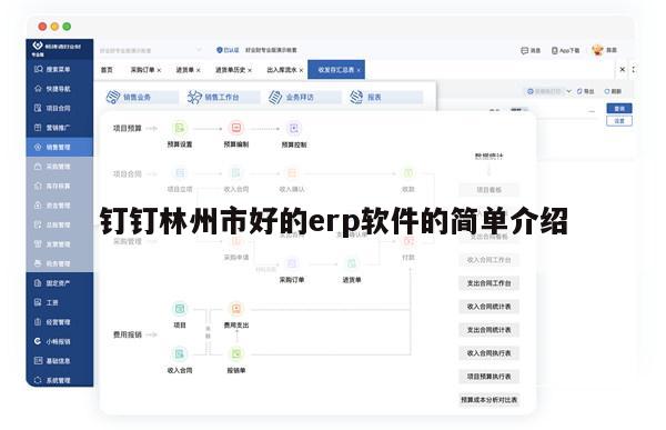 钉钉林州市好的erp软件的简单介绍