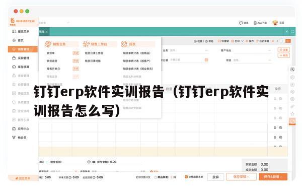 钉钉erp软件实训报告（钉钉erp软件实训报告怎么写）