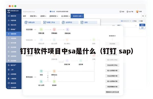 钉钉软件项目中sa是什么（钉钉 sap）