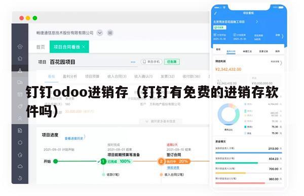 钉钉odoo进销存（钉钉有免费的进销存软件吗）