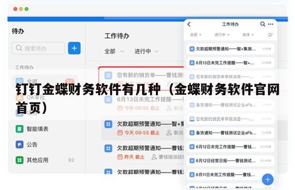 钉钉金蝶财务软件有几种（金蝶财务软件官网首页）