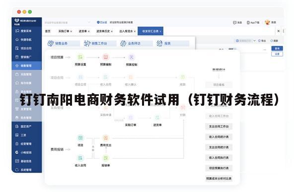 钉钉南阳电商财务软件试用（钉钉财务流程）