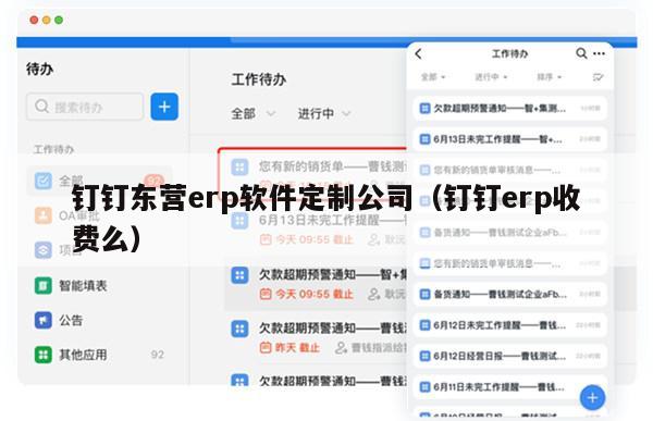 钉钉东营erp软件定制公司（钉钉erp收费么）