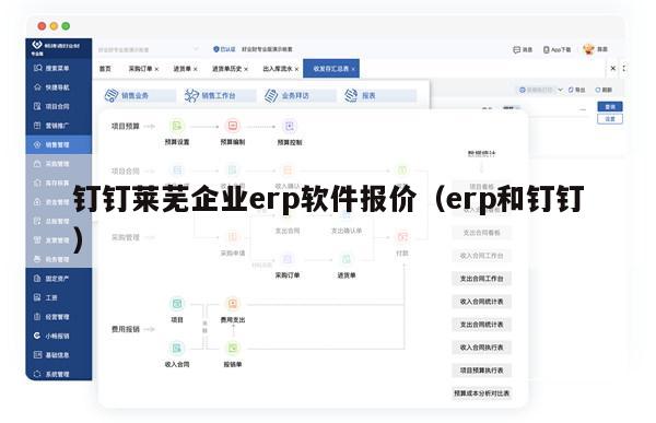 钉钉莱芜企业erp软件报价（erp和钉钉）