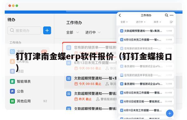 钉钉津南金蝶erp软件报价（钉钉金蝶接口）
