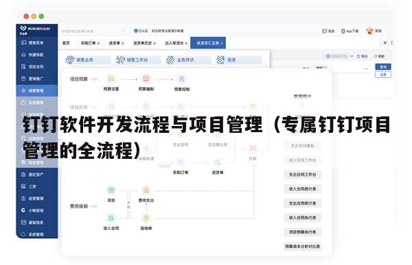 钉钉软件开发流程与项目管理（专属钉钉项目管理的全流程）