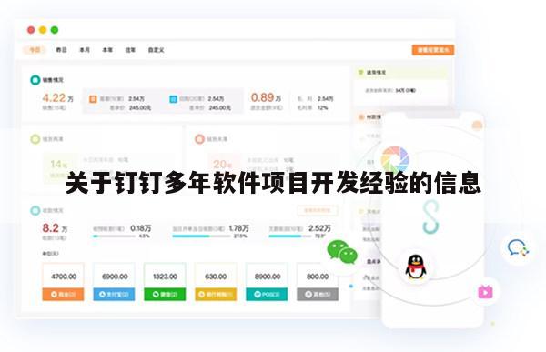 关于钉钉多年软件项目开发经验的信息