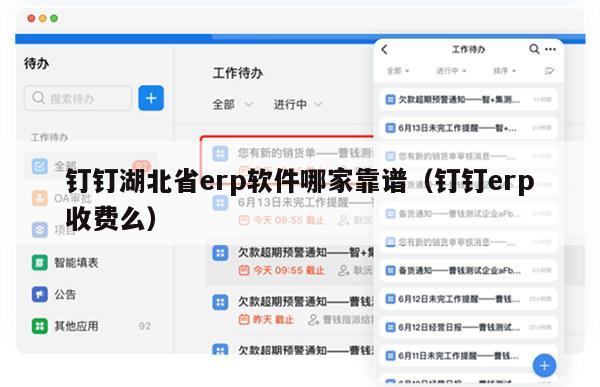 钉钉湖北省erp软件哪家靠谱（钉钉erp收费么）