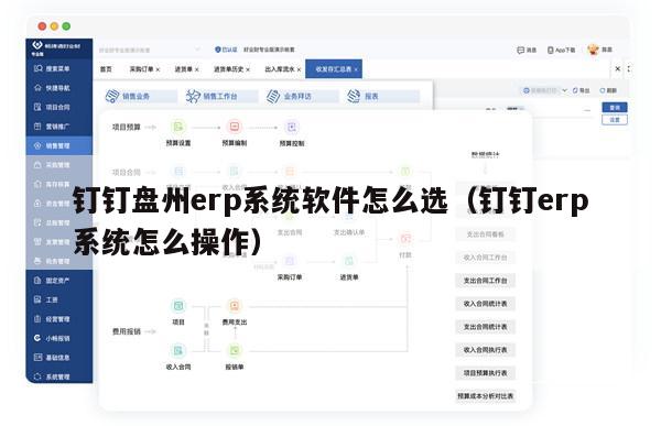 钉钉盘州erp系统软件怎么选（钉钉erp系统怎么操作）