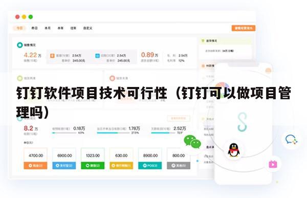 钉钉软件项目技术可行性（钉钉可以做项目管理吗）