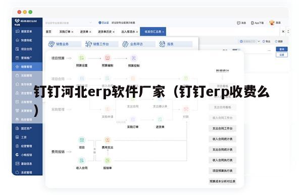 钉钉河北erp软件厂家（钉钉erp收费么）