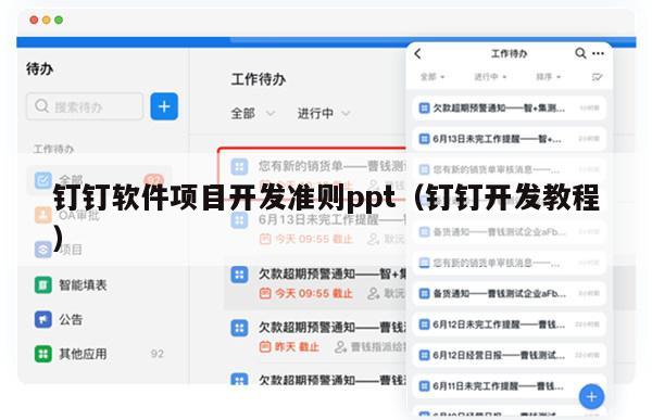 钉钉软件项目开发准则ppt（钉钉开发教程）