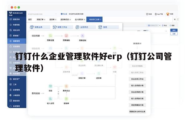 钉钉什么企业管理软件好erp（钉钉公司管理软件）