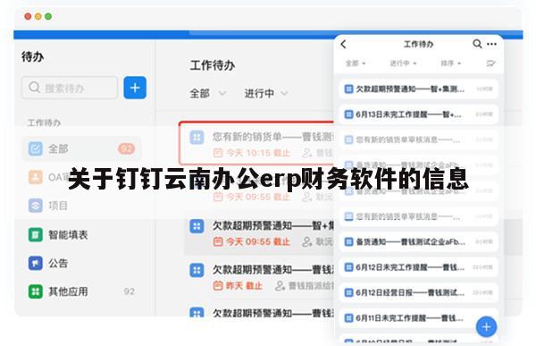 关于钉钉云南办公erp财务软件的信息