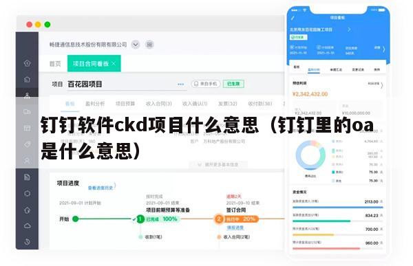 钉钉软件ckd项目什么意思（钉钉里的oa是什么意思）