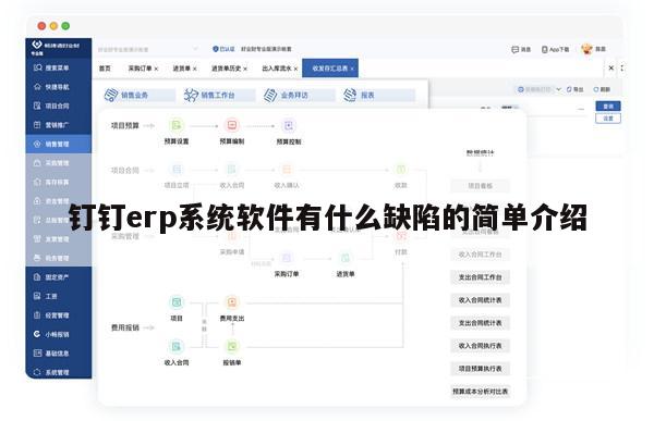 钉钉erp系统软件有什么缺陷的简单介绍