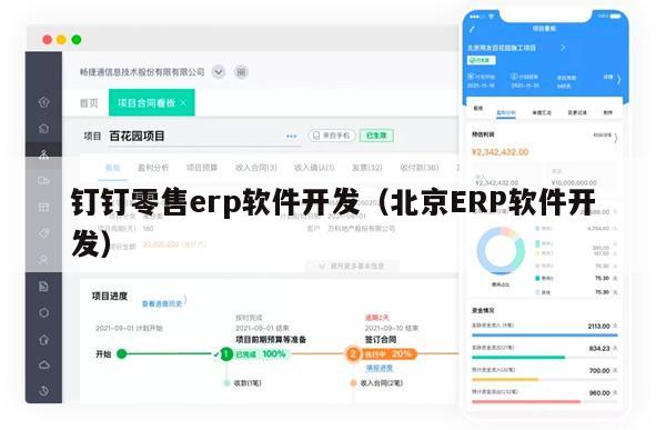 钉钉零售erp软件开发（北京ERP软件开发）