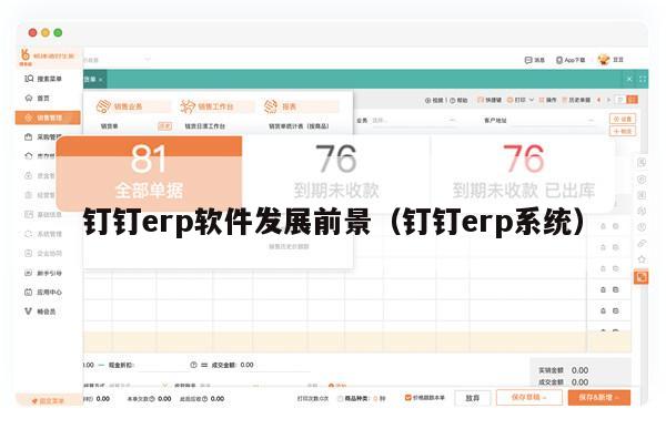 钉钉erp软件发展前景（钉钉erp系统）