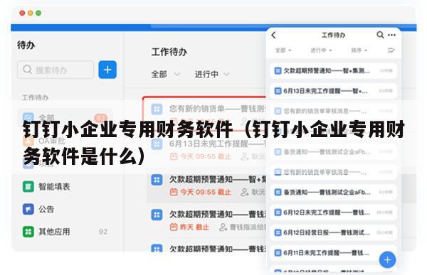 钉钉小企业专用财务软件（钉钉小企业专用财务软件是什么）