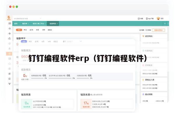 钉钉编程软件erp（钉钉编程软件）