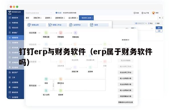 钉钉erp与财务软件（erp属于财务软件吗）