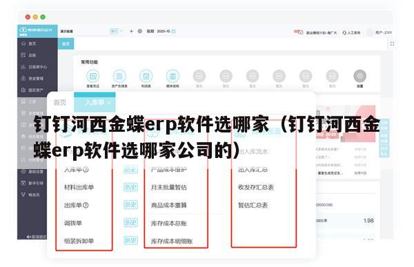 钉钉河西金蝶erp软件选哪家（钉钉河西金蝶erp软件选哪家公司的）