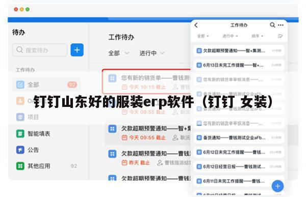 钉钉山东好的服装erp软件（钉钉 女装）