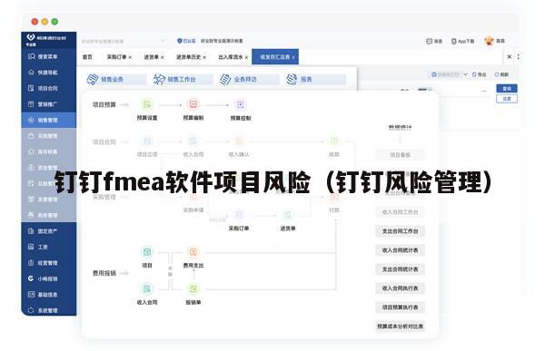 钉钉fmea软件项目风险（钉钉风险管理）