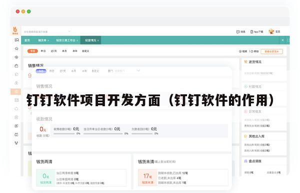 钉钉软件项目开发方面（钉钉软件的作用）