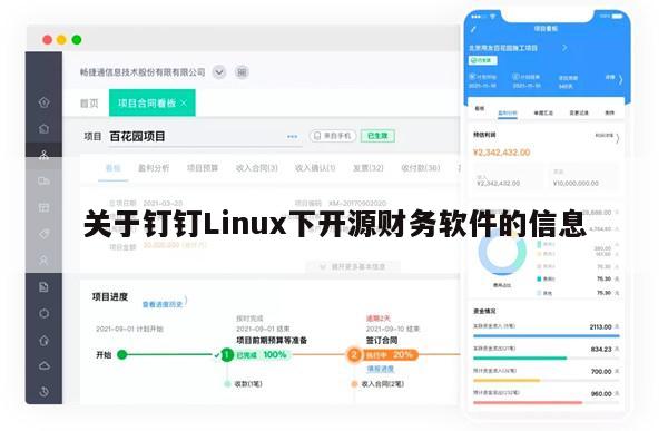 关于钉钉Linux下开源财务软件的信息