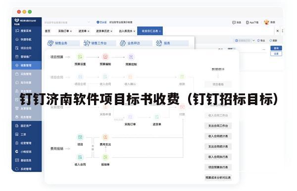 钉钉济南软件项目标书收费（钉钉招标目标）