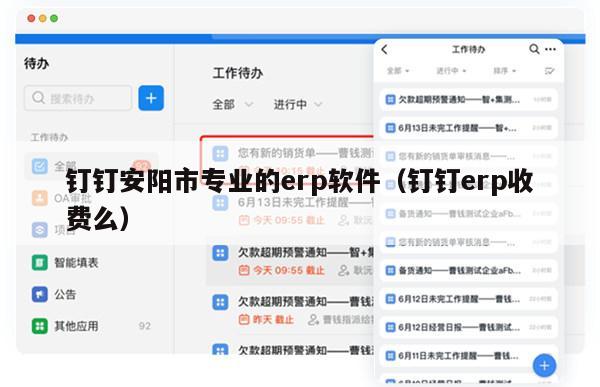 钉钉安阳市专业的erp软件（钉钉erp收费么）