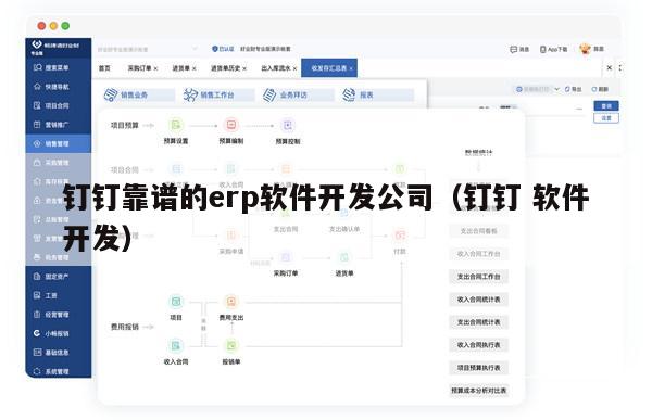 钉钉靠谱的erp软件开发公司（钉钉 软件开发）