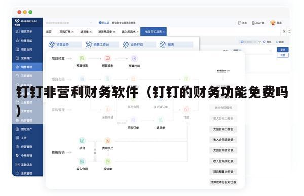 钉钉非营利财务软件（钉钉的财务功能免费吗）