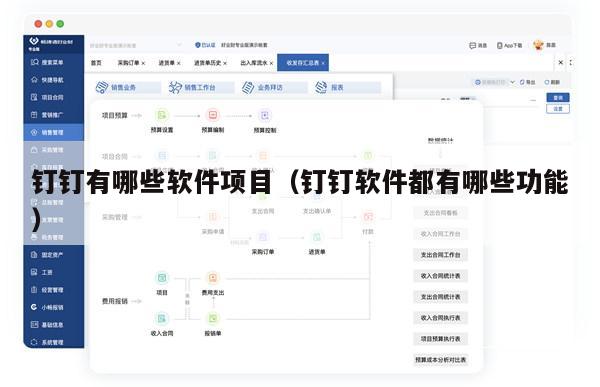 钉钉有哪些软件项目（钉钉软件都有哪些功能）