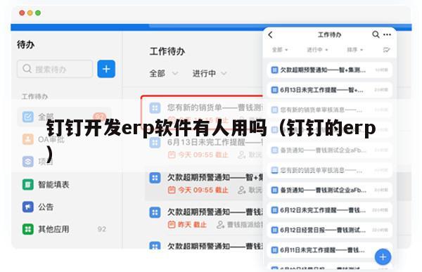 钉钉开发erp软件有人用吗（钉钉的erp）