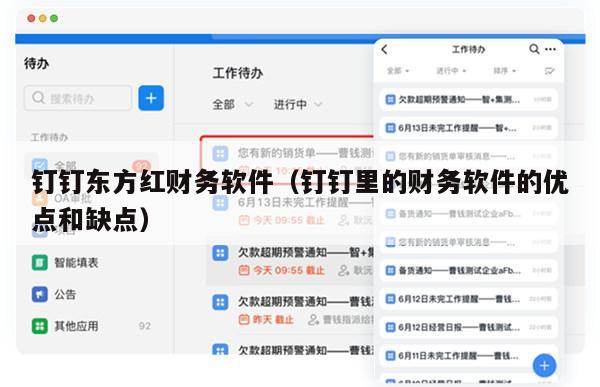 钉钉东方红财务软件（钉钉里的财务软件的优点和缺点）