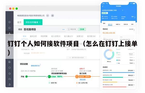 钉钉个人如何接软件项目（怎么在钉钉上接单）