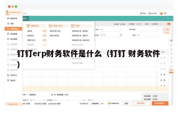 钉钉erp财务软件是什么（钉钉 财务软件）