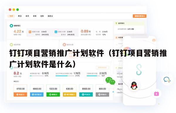 钉钉项目营销推广计划软件（钉钉项目营销推广计划软件是什么）