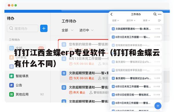 钉钉江西金蝶erp专业软件（钉钉和金蝶云有什么不同）