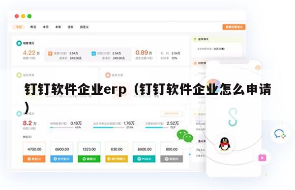 钉钉软件企业erp（钉钉软件企业怎么申请）