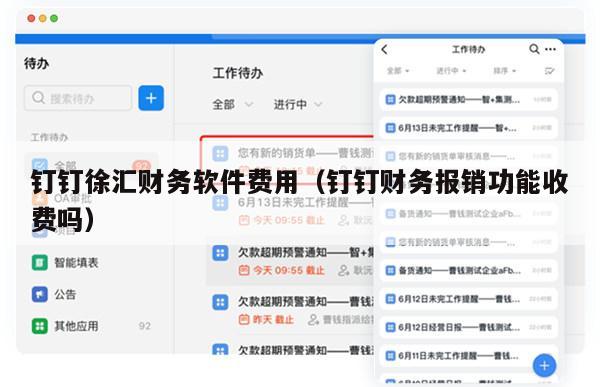 钉钉徐汇财务软件费用（钉钉财务报销功能收费吗）