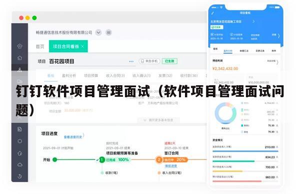 钉钉软件项目管理面试（软件项目管理面试问题）