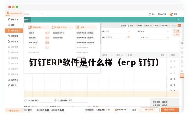 钉钉ERP软件是什么样（erp 钉钉）