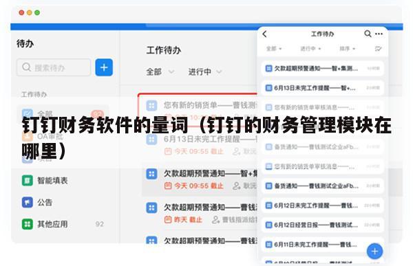 钉钉财务软件的量词（钉钉的财务管理模块在哪里）